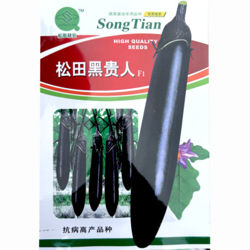 黑贵人烧烤茄种子早熟杂交黑亮有光泽保护地露地种植