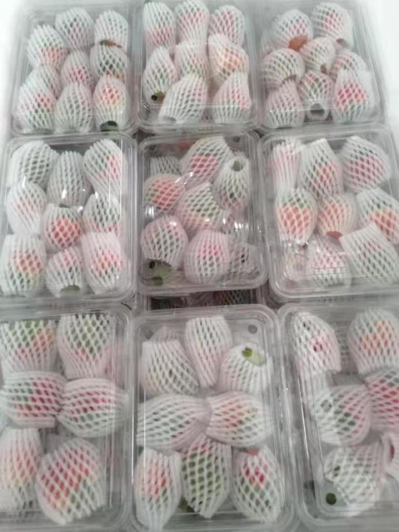 代办高质量草莓，一手货源，品质保证，量大从优，可视频看货