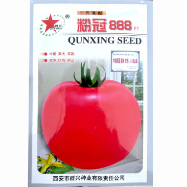 粉冠888番茄种子早春季秋延种苗西红柿种籽高产