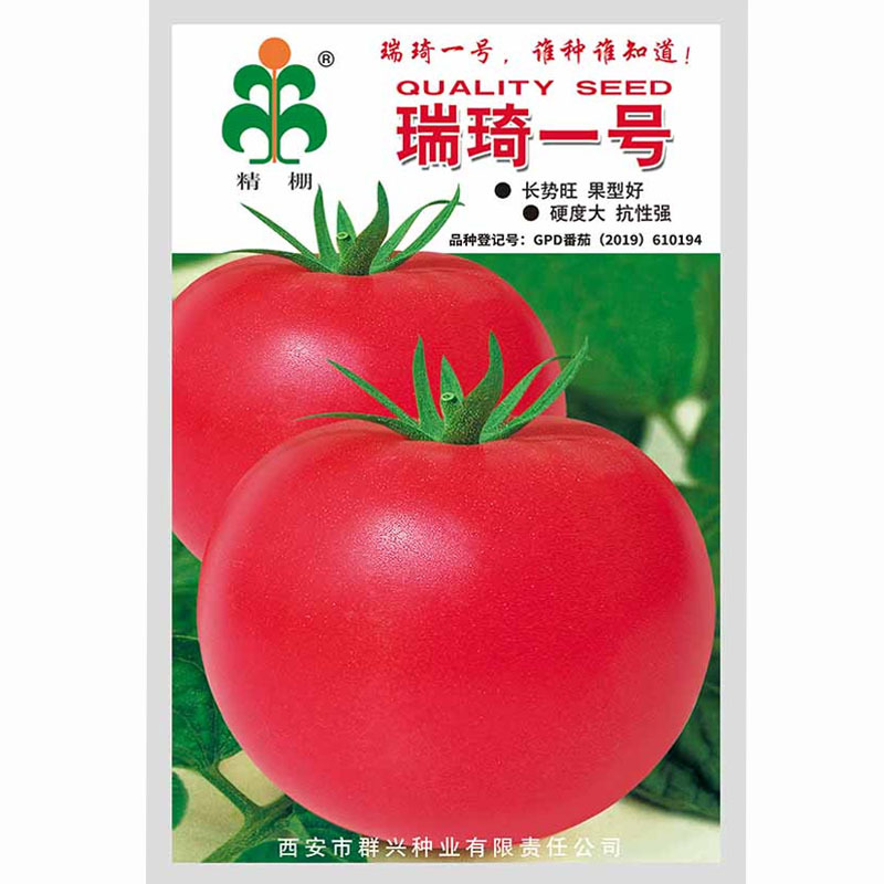 瑞琦一号早熟大果坐果多果皮厚不裂果西红柿种子