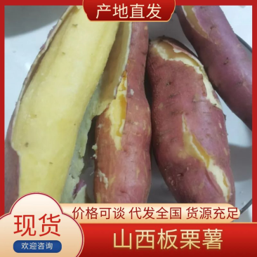 山西省运城市红薯板栗薯一支香白心面甜粉糯红薯一件代发