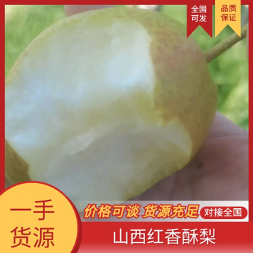 山西省运城市脆甜红香酥梨香梨纯甜皮薄产地一件代发供电商
