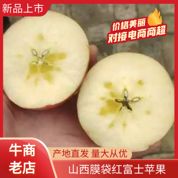山西运城万亩基地冰糖心红富士苹果膜代富士新鲜采摘一件代发