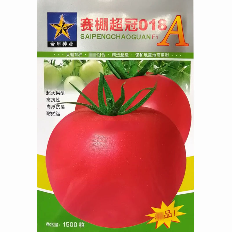 赛棚超冠番茄种子大棚西红柿种子粉果肉厚抗裂基地品种