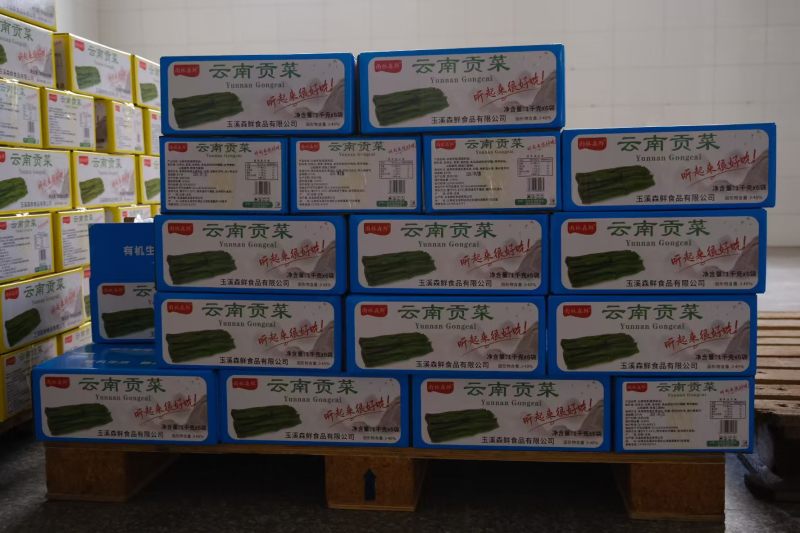 云南贡菜，工厂直发，脆爽可口，对接商超市场电商一件代发
