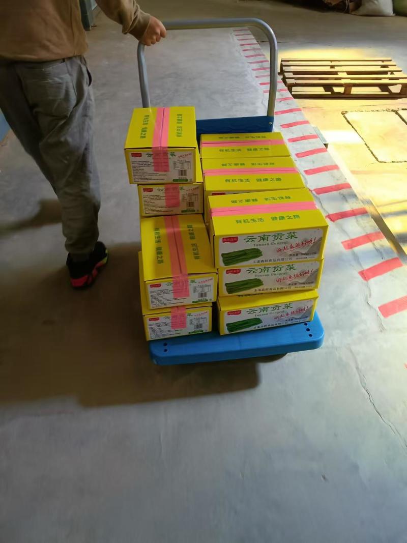 云南贡菜，工厂直发，脆爽可口，对接商超市场电商一件代发