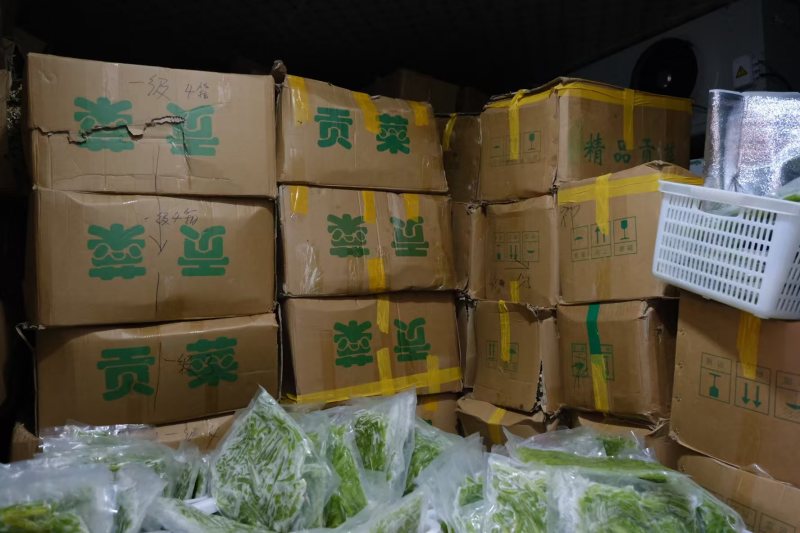 云南高原新鲜贡菜速冻锁鲜电商线下餐饮店都适用