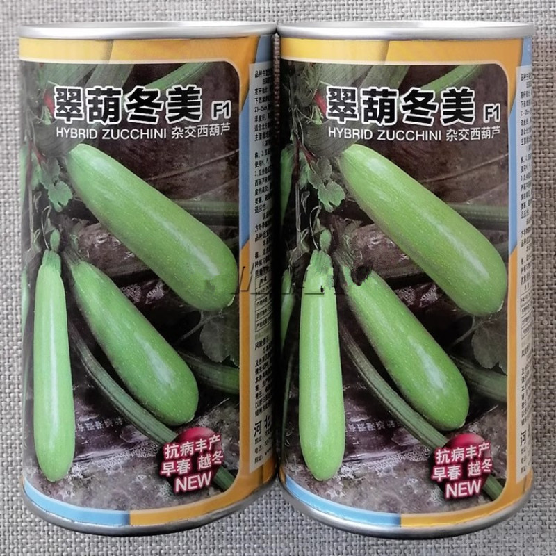 翠葫冬美西葫芦种子抗病耐寒杂交早春越冬大棚耐寒油绿