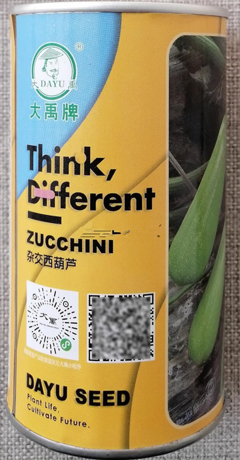 翠葫冬美西葫芦种子抗病耐寒杂交早春越冬大棚耐寒油绿