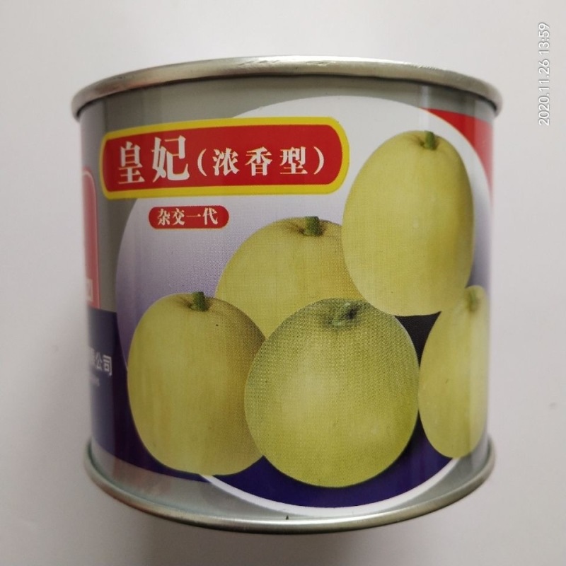 皇妃甜瓜种子肉色淡白绿肉质细嫩耐裂果糖度18