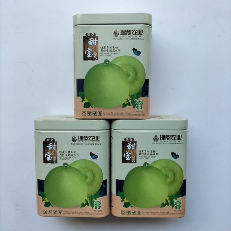 理想甜宝甜瓜种子肉厚光滑脆嫩多汁味香含糖度高