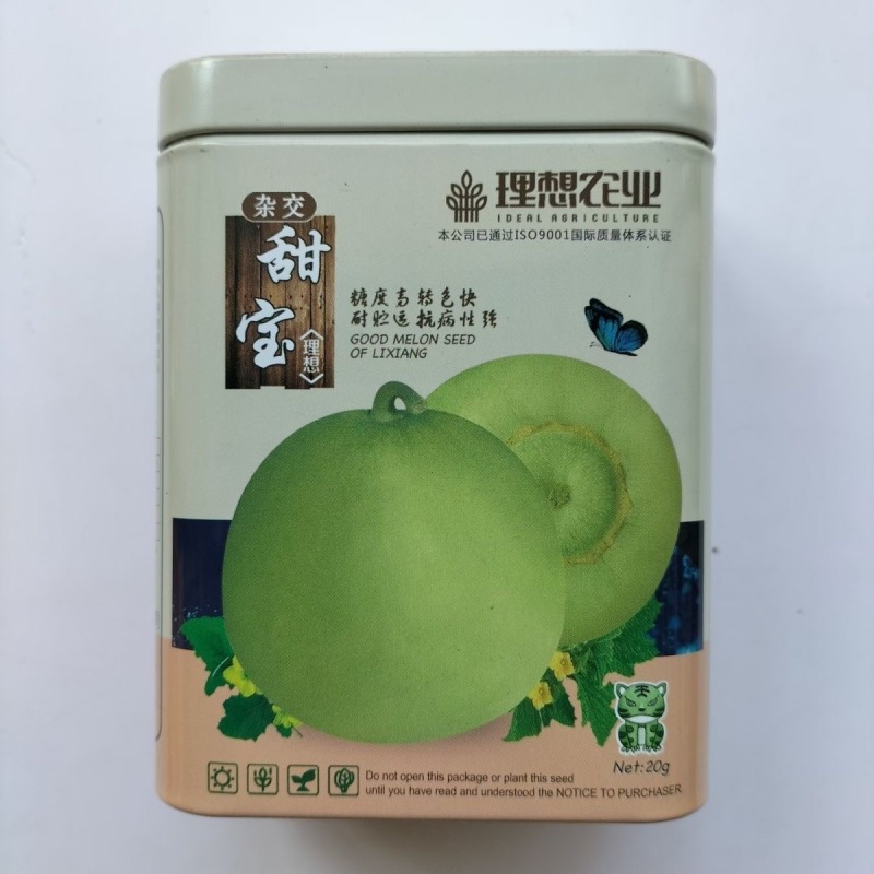 理想甜宝甜瓜种子肉厚光滑脆嫩多汁味香含糖度高
