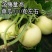 理想甜宝甜瓜种子肉厚光滑脆嫩多汁味香含糖度高