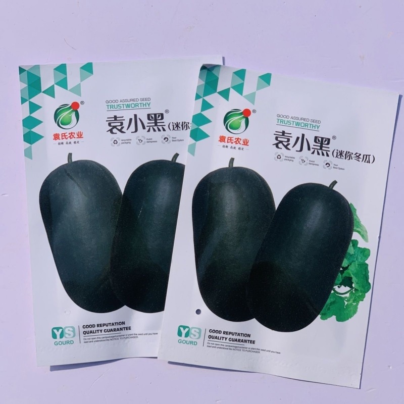 袁小黑迷你小冬瓜种子实心小冬瓜种子嫩瓜脆嫩清甜
