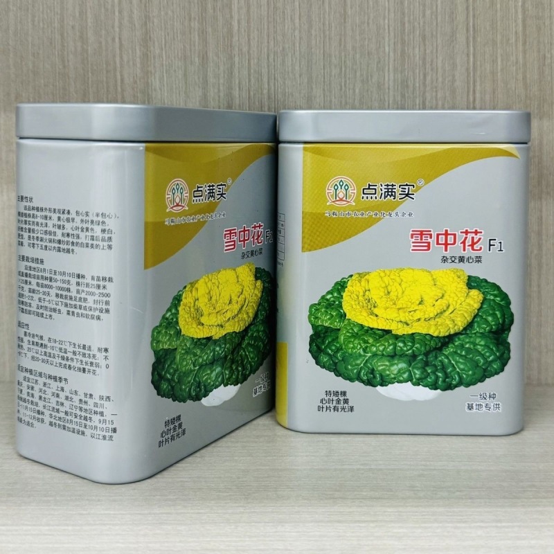 雪中花杂交黄心乌塌菜种子黄心菜种子心叶金黄