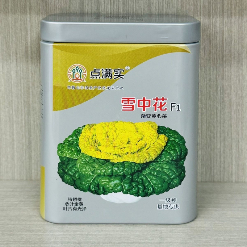 雪中花杂交黄心乌塌菜种子黄心菜种子心叶金黄