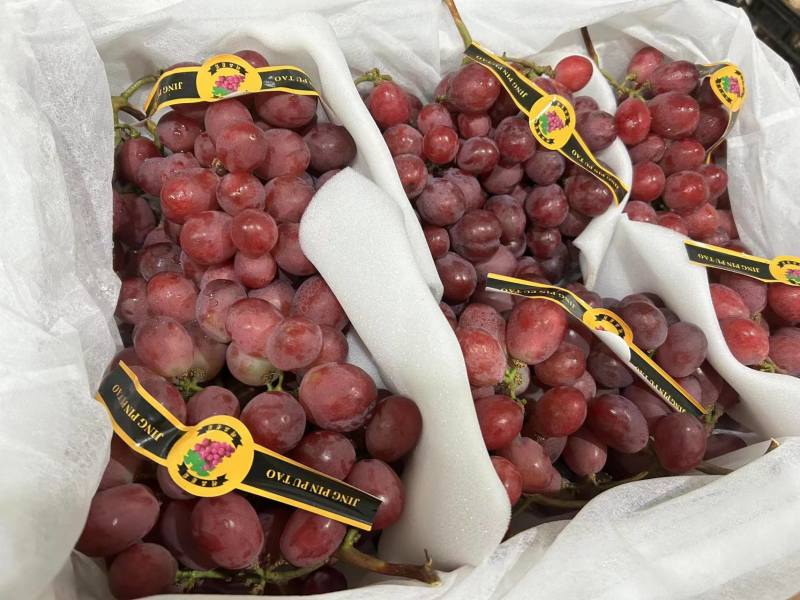 精品红提云南提子精品红提电商市场商超加工厂外贸