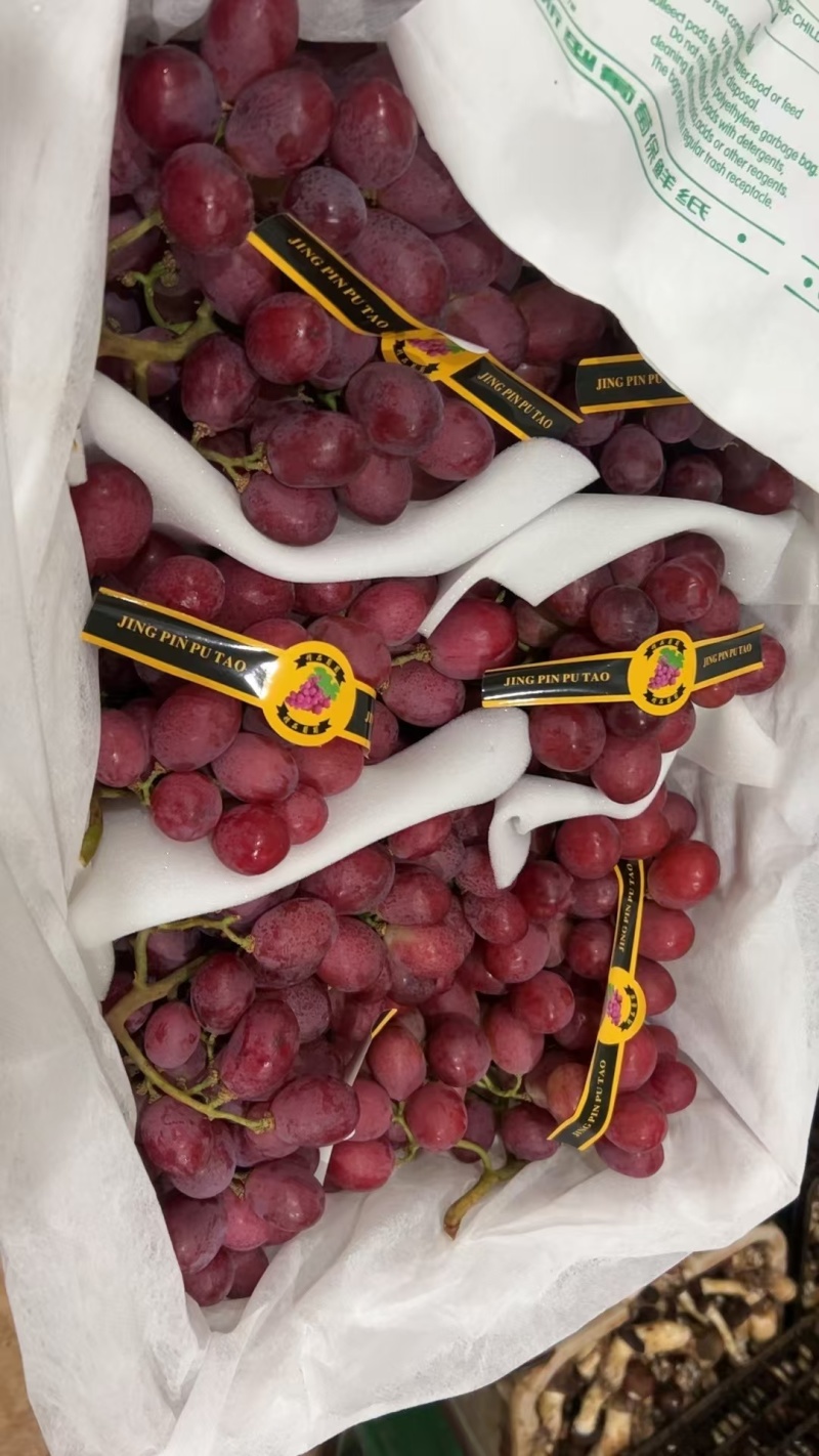 精品红提云南提子精品红提电商市场商超加工厂外贸