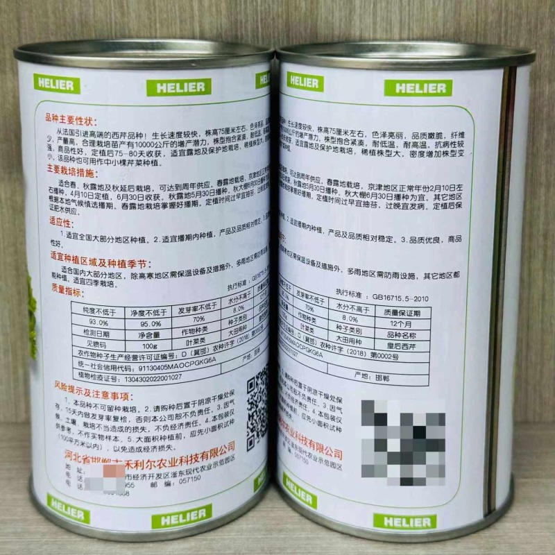 皇后西芹种子早熟西芹生长速度快可作中小棵芹菜种植