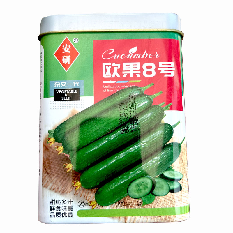 水果黄瓜种子欧果8号甜脆鲜食味道肉厚刺少春秋栽培