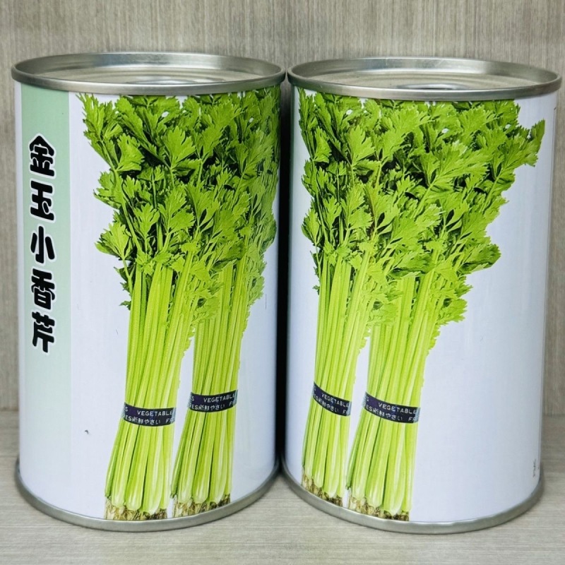 金玉小香芹种子四季小香芹种子耐热耐寒耐老抗病