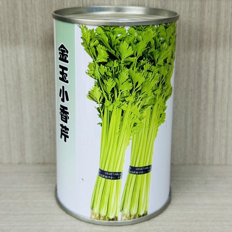 金玉小香芹种子四季小香芹种子耐热耐寒耐老抗病
