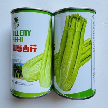 如意西芹种子品质脆嫩耐低温耐高温可作中小棵芹菜种植