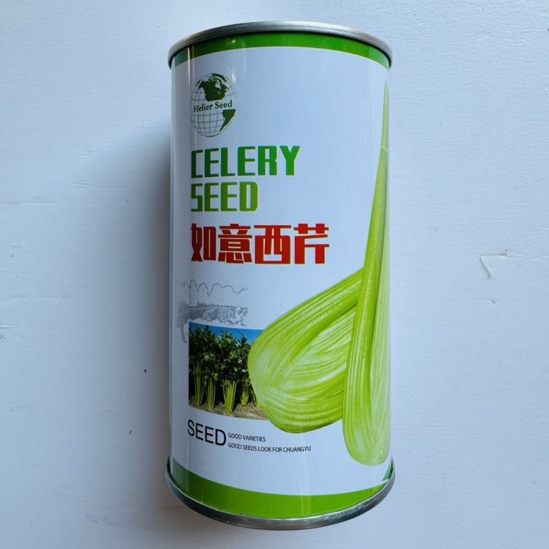 如意西芹种子品质脆嫩耐低温耐高温可作中小棵芹菜种植