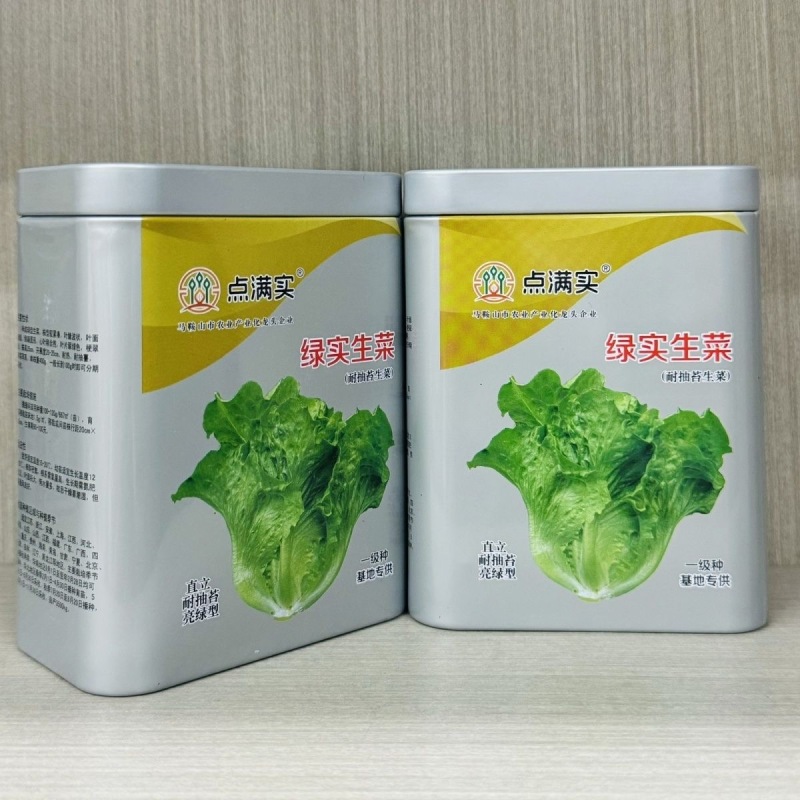 绿实兰结球生菜种子耐抽苔直立亮绿型耐热净菜率高