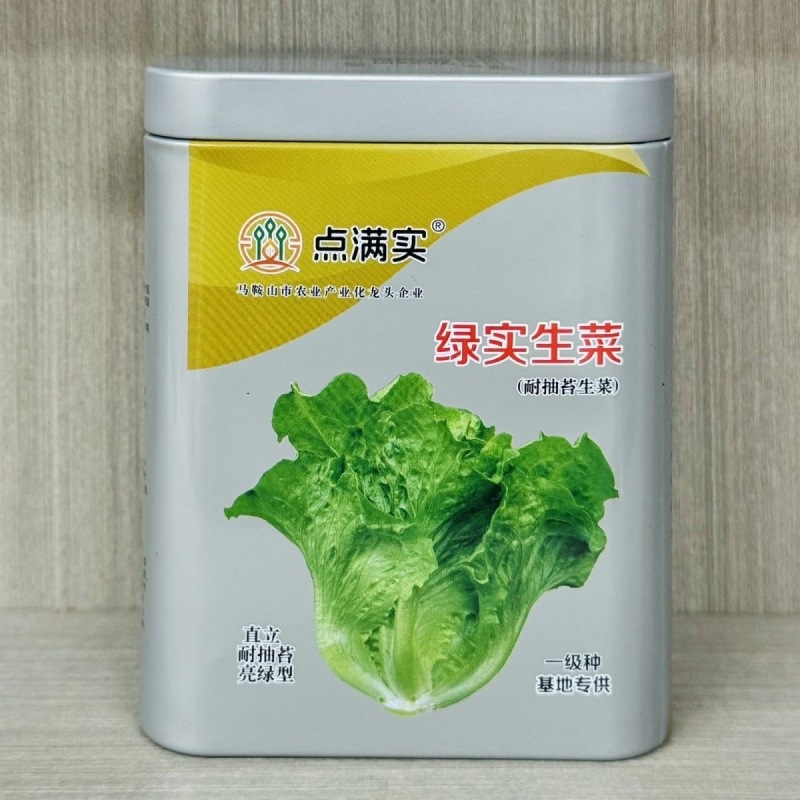 绿实兰结球生菜种子耐抽苔直立亮绿型耐热净菜率高