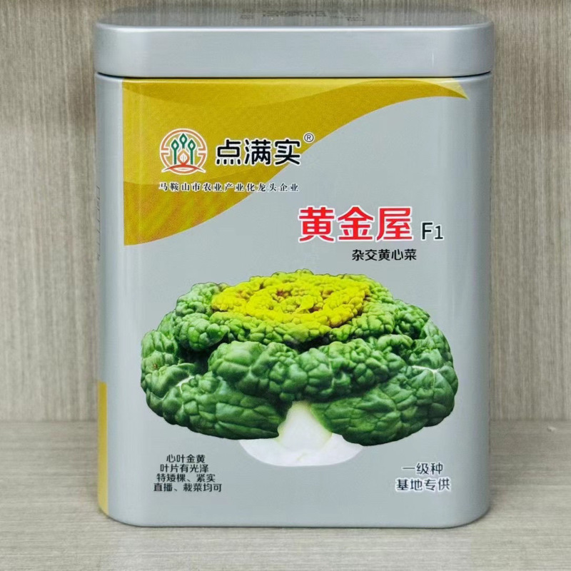 黄金屋黄心菜种子黄心早叶皱多矮棵型紧实心叶金黄