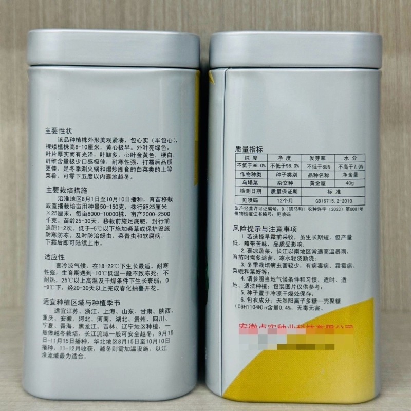 黄金屋黄心菜种子黄心早叶皱多矮棵型紧实心叶金黄