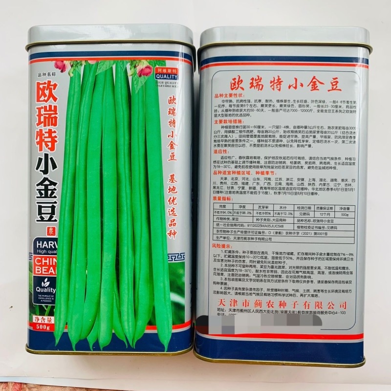 欧瑞特小金豆种子四季豆种子耐热耐寒圆形荚