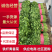 山东铁杆青香菜基地一手货源对接电商市场保证质量