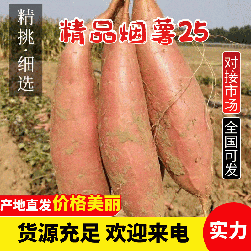 烤薯店专用，沙地红皮心蜜薯，烟薯烤薯规格沟通好再下单