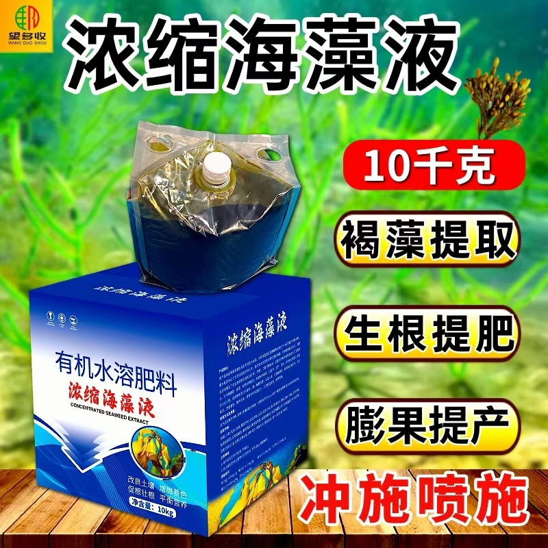 浓缩海藻液冲施肥低温生根壮苗防病抗重茬水溶肥