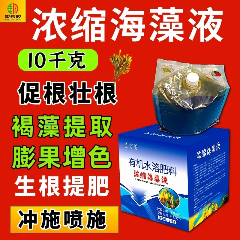 浓缩海藻液冲施肥低温生根壮苗防病抗重茬水溶肥