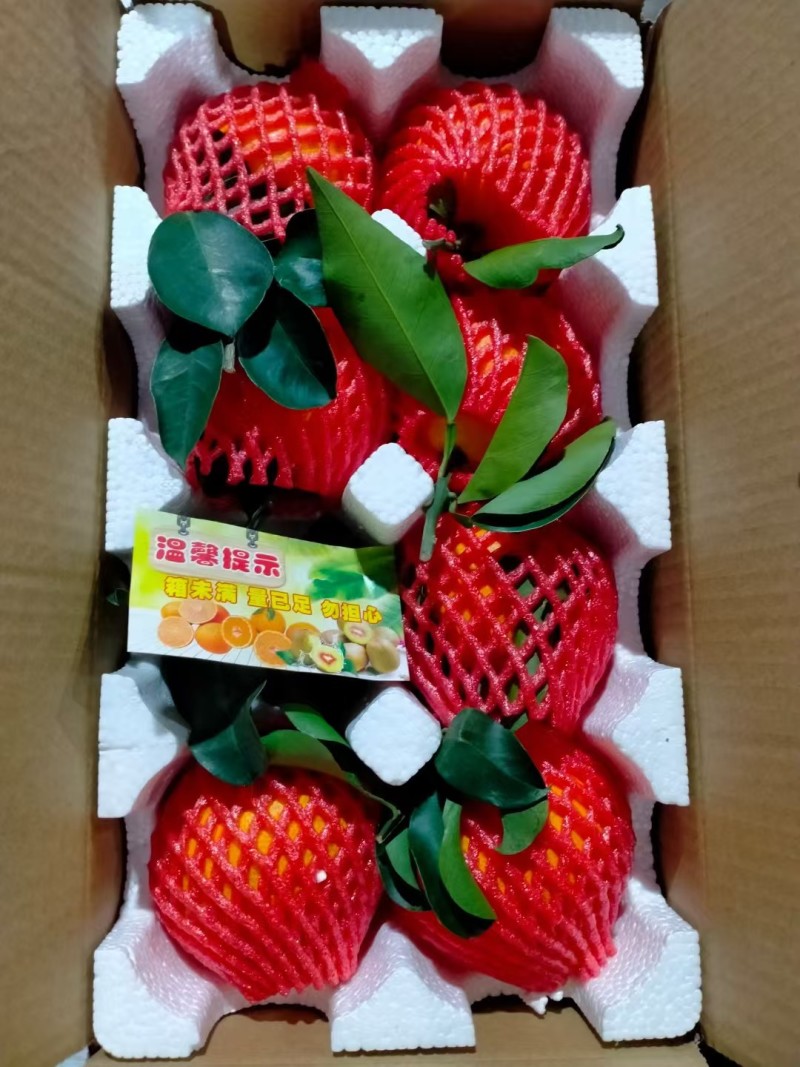 四川蒲江耙耙柑一件代发产地直发一手货源对接各大电商平台