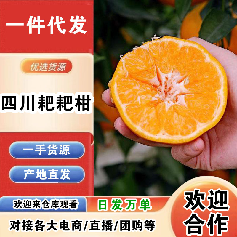 四川蒲江耙耙柑一件代发产地直发一手货源对接各大电商平台