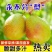新疆库尔勒香梨产地一手货源一件代发新年礼盒公司福利量大优