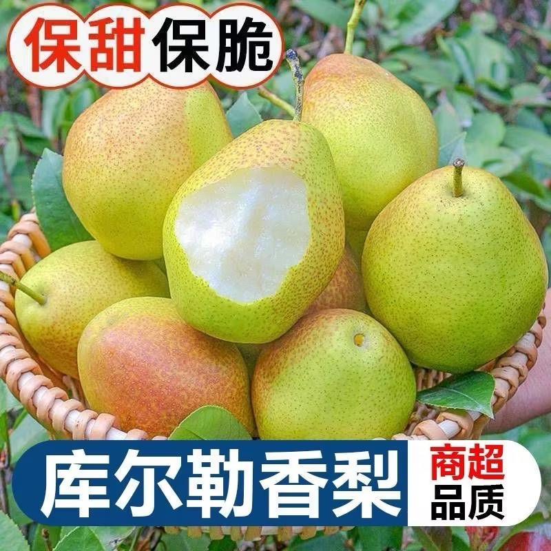 新疆库尔勒香梨产地一手货源一件代发新年礼盒公司福利量大优