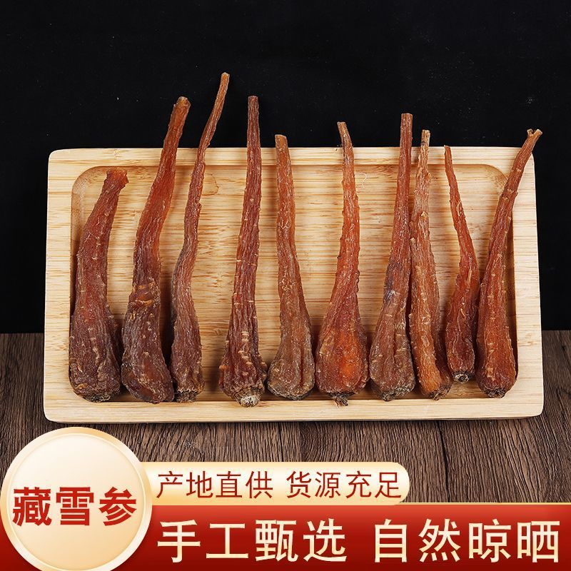 藏雪参中药材雪人参红毛阳参炖汤煲汤藏血参泡酒药材云南厂家