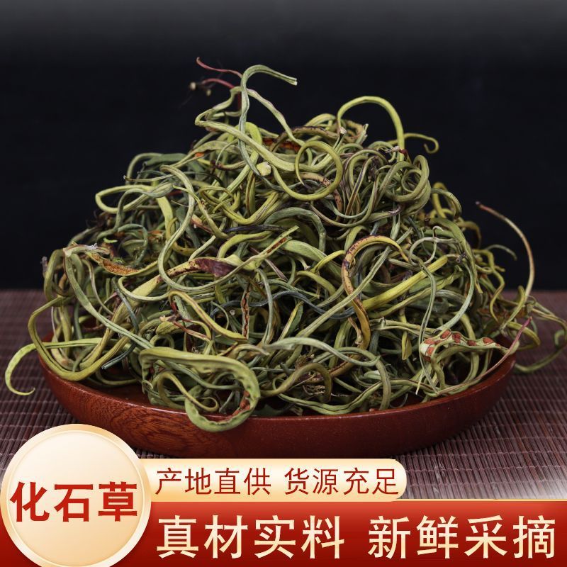 正宗小叶化石草化石茶肾精茶结石草散称猫须草云南厂家批发