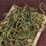 正宗小叶化石草化石茶肾精茶结石草散称猫须草云南厂家批发
