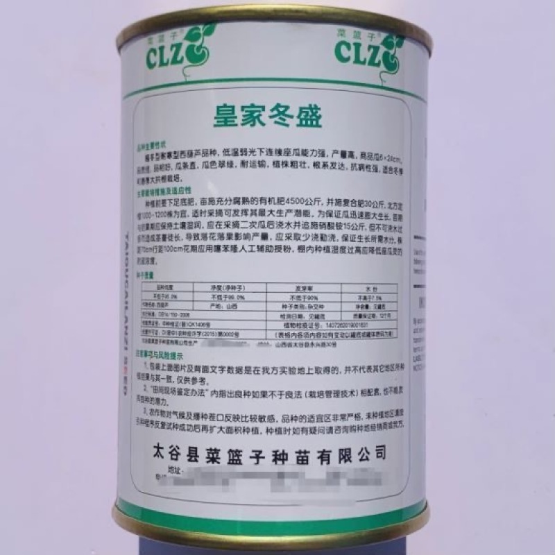 皇家冬盛西葫芦种子越冬耐寒翠绿油亮西葫芦