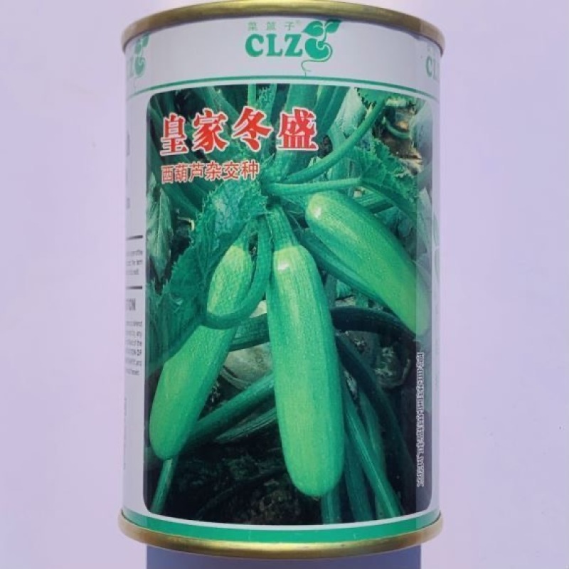 皇家冬盛西葫芦种子越冬耐寒翠绿油亮西葫芦
