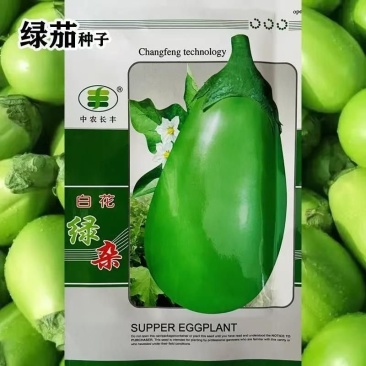 白花绿杂茄子种子绿茄种子抗病质地细嫩长势强