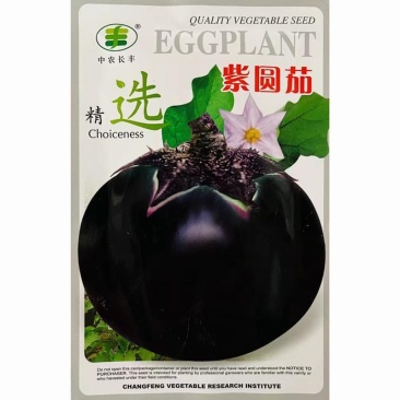 紫圆茄种子早熟抗病果大肉多耐寒耐热口感好