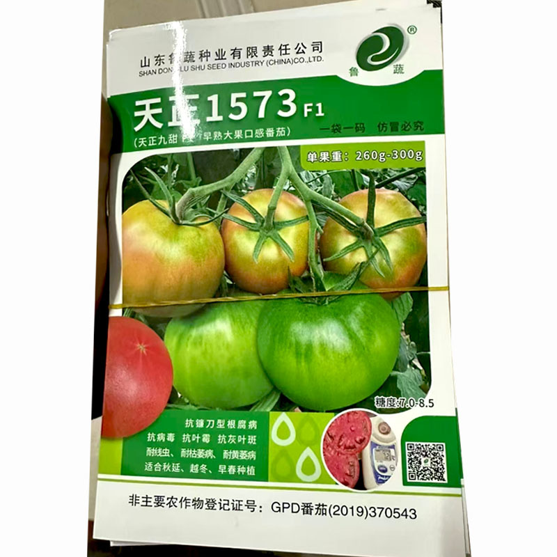 天正1573西红柿种子大果沙瓤早熟抗TY天正九甜鲁蔬品种