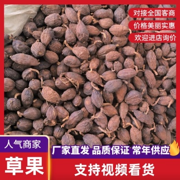 【优质草果】云南草果中大果-假一赔千-干度十足全国包邮
